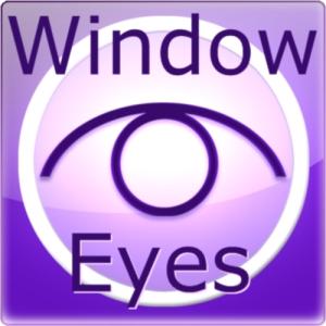 Produktbilde Window-Eyes Pro 1-bruker